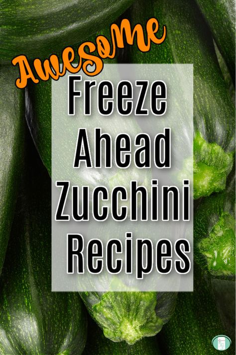 Not sure what to do with all that garden zucchini? These freezer friendly recipes can be made ahead so that nothing goes to waste. #zucchini #freezermeals101 #zucchinirecipe #makeaheadmeals How To Freeze Zucchini Slices, Bulk Zucchini Recipes, Ways To Freeze Zucchini, Zucchini Recipes That Freeze Well, Recipes For Frozen Zucchini, Ways To Use Up Zucchini, Freezable Zucchini Recipes, Zucchini Recipes Freezable, What Can I Do With Zucchini