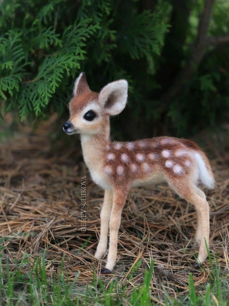 Cute Small Pets, Worlds Cutest Animals, Cutest Animals On Earth, Small Deer, Cute Small Animals, Most Beautiful Animals, Animals Photos, Pet Animals