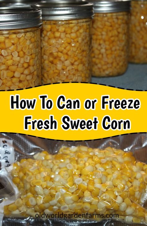 Meals To Can, Canning Fresh Corn, Canning Corn Recipes, How To Preserve Fresh Corn, Preserving Fresh Corn, Preserving Sweet Corn, Preserving Corn, How To Can Corn, Canning Corn Water Bath