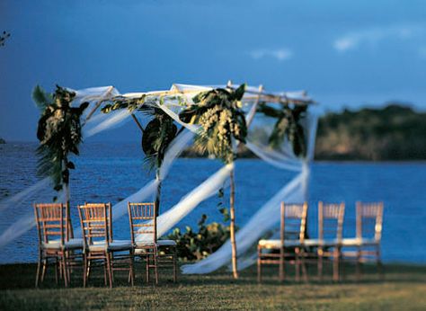 beach wedding Five Year Anniversary, United States Virgin Islands, Plan A Wedding, Turtle Bay, Tying The Knot, Anniversary Trips, Virgin Islands, Plan A, The Knot