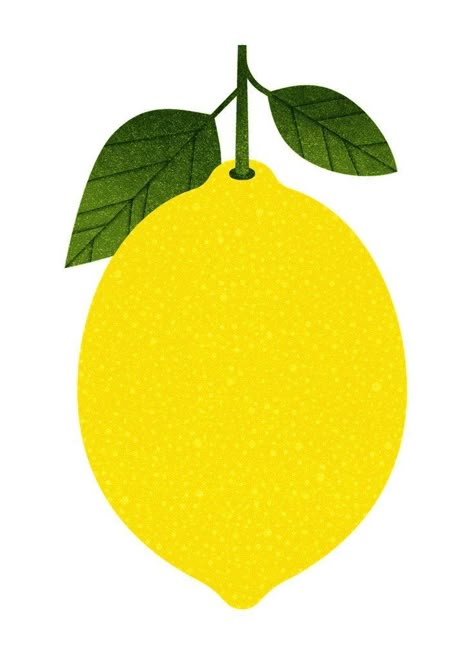 Lemon Illustration Design, Lan Truong, Lemon Illustration, Fruits Illustration, Lemon Drawing, Creative Drawings, Reading Manga, Drawings Ideas, Lemon Decor