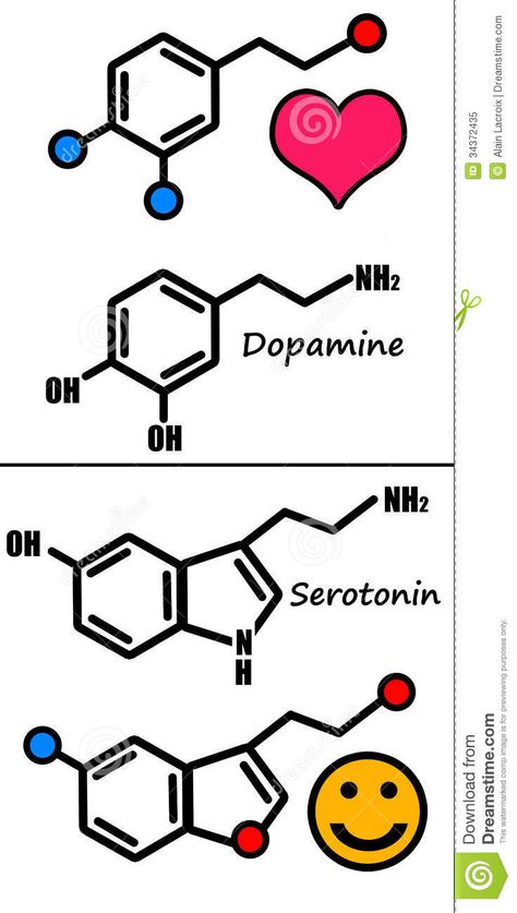 Serotonin and Dopamine - Tattoo.com Dopamine Tattoo, Scientific Tattoo, Serotonin Tattoo, Dopamine And Serotonin, Chemistry Tattoo, Places To Get Tattoos, Medusa Tattoo, Chemical Formula, Home Tattoo