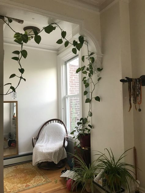 Apartment Hall, White Plants, Inside Plants, House Color Schemes, Walls Room, Unique House Design, Coastal Living Rooms, Unique Houses, House Plants Decor