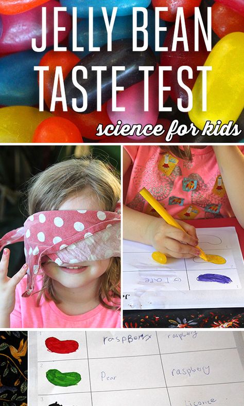 Science for Kids: Jelly Bean Taste Test Science Experiment Jelly Bean Taste Test, Classroom Experiments, Easter Science, Candy Experiments, Sense Of Taste, Science Birthday, Science Party, Kid Experiments, Easter Games