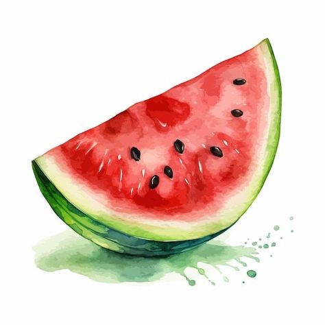 Watermelon Art Illustrations, Watermelon Sketch, Ss25 Trends, Drawing Fruits, Watermelon Drawing, Watermelon Painting, Watercolor Fruits, Fruit Art Drawings, Shading Drawing