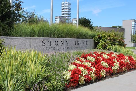 Stony Brook University, Stony Brook, College Courses, Going To University, Dream College, University Studying, Online Degree, College Experience, Online University