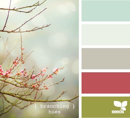 Branching hues ~ design seeds / beautiful color palette inspiration Jogging Path, Svelte Sage, Fawn Brindle, Ancient Marble, Color Groups, Dover White, Coral Bells, Comfort Gray, Oyster Bay