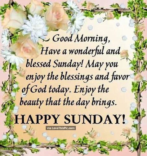 Good Morning Have A Wonderful And Blessed Sunday Blessed Sunday Quotes, Blessed Sunday Morning, Sunday Prayer, Happy Sunday Morning, Sunday Morning Quotes, Sunday Pictures, Good Sunday Morning, Sunday Greetings, Have A Blessed Sunday