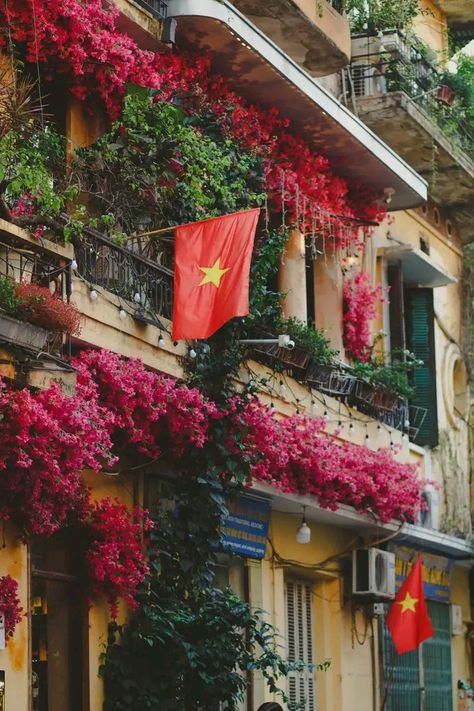 Vietnam Flag Aesthetic, Vietnam Scenery, Vietnam Aesthetic, Vietnam Flag, Vietnam Art, Hanoi, Beautiful Photo, Background Images, Aesthetic Wallpapers