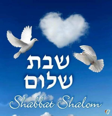 Happy Hanukkah Images, Bon Sabbat, 4th Commandment, Hebrew Greetings, Jewish Greetings, Hebrew Poster, Good Shabbos, Rosh Hashanah Cards, Shabbat Shalom Images