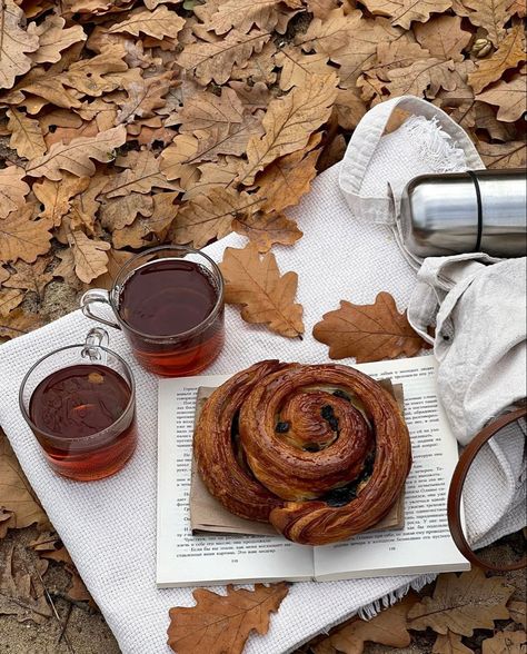 Fall Picnic, Fall Mood Board, Autumn In New York, Tea And Books, Autumn Magic, Pumpkin Spice Season, Fall Inspo, Season Of The Witch, Fall Feels