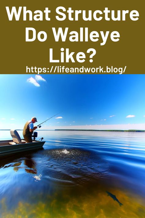 What Structure Do Walleye Like? Walleye Rigs, Walleye Fishing Tips, Fishing For Beginners, Late Evening, Fly Fishing Tips, Walleye Fishing, Fishing Adventure, Sport Fishing, Fishing Tips