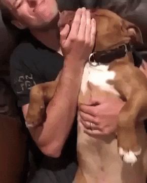 Biggest sneeze ever Animal Humour, Animal Videos, Dog Gifs, Animal Gifs, Cute Dogs, Funny Gif, Gif, Humor, Dogs