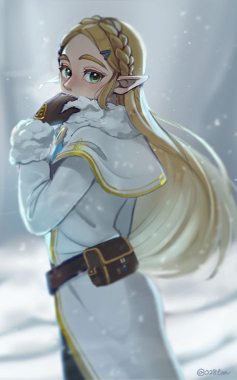 Princesse Zelda Breath Of The Wild Zelda, Hyrule Castle, Botw Zelda, Princesa Zelda, Hyrule Warriors, Link Zelda, Zelda Art, Legend Of Zelda Breath, Crown Braid