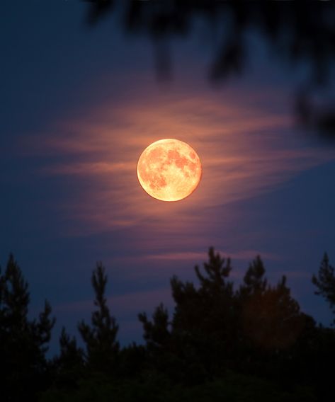 Tonight’s Full Blood Moon In Aries Brings Passion, Impatience & Independence #refinery29 https://www.refinery29.com/en-us/2021/10/10719540/when-is-full-moon-in-aries-october-2021-meaning-blood-moon Full Moon Ritual, Virgo Moon, The Moon Is Beautiful, Look At The Moon, Moon Pictures, Moon River, Moon Photography, Lunar Eclipse, Super Moon