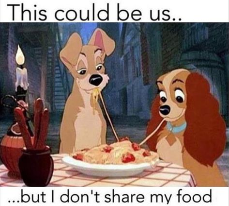 Funny Pictures Of The Day – 34 Pics Disney Amor, Animation Disney, 17 August, Images Disney, Film Disney, Art Disney, Lady And The Tramp, Disney Memes, Disney Films