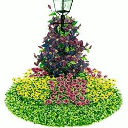 Lamppost Circle Garden Plan:   A. Jackmanii Clematis (2)  B Daisy, Black Eyed Susan (6)  C Pink Coneflower (6)  D Lush Pachysandra Light Post Landscaping, Garden Themes, Clematis Trellis, Brown Lamp, Fall Landscaping, Spring Hill Nursery, Garden Flower Beds, Container Gardening Flowers, Garden Plans