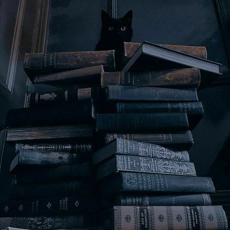 Book Aesthetic Dark Black, Books Black And White Aesthetic, Black Book Aesthetic, Black And White Dark Academia, Swat Aesthetic, Blue Academia Aesthetic, Dark Academia Widget, Blue Academia, Harry Potter Oc