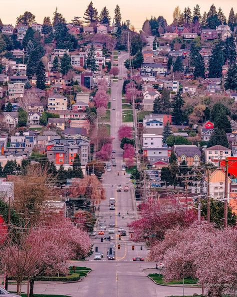 United States of America ~ IG on Instagram: “Full spring in Seattle 🌸🌸 📸: @steven.t.luong” Summer In Seattle, Seattle Photography, Sleepless In Seattle, Pretty Trees, Seattle Homes, Assalamualaikum Image, West Seattle, Oregon Washington, Future City