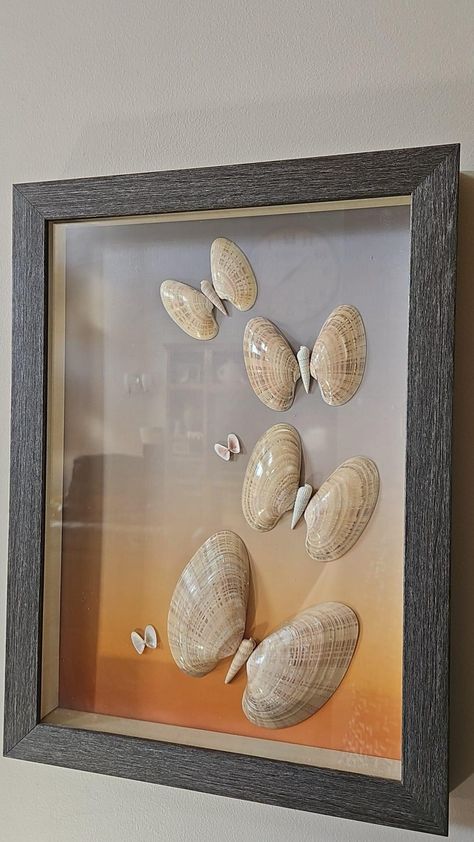 Shell Artwork Ideas, Things To Do With Sea Shells Artwork, Sea Shells Artwork, Shells In Frames Wall Art Diy, Sea Shell Art Projects, Shell Canvas Art Seashells, Clam Shell Art, Shells In Shadow Boxes, Seashell Wall Art Turtle