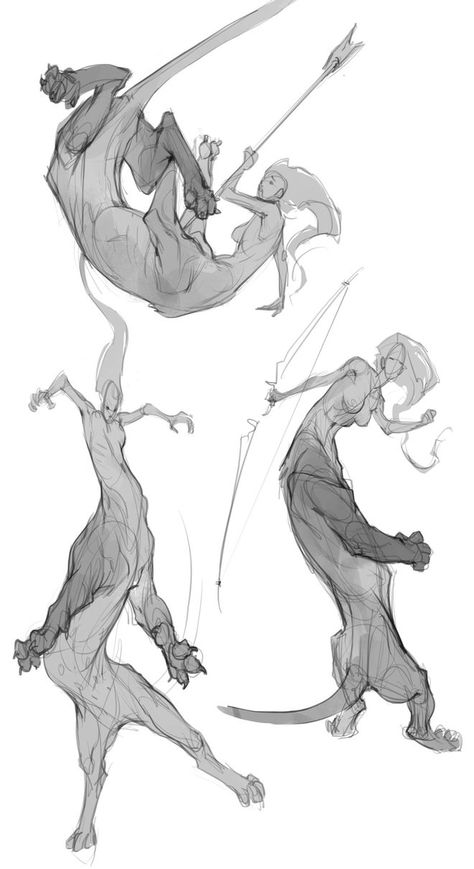 Artemis Sketches by IzzyMedrano ✤ || CHARACTER DESIGN REFERENCES | キャラクターデザイン |  • Find more at https://www.facebook.com/CharacterDesignReferences  http://www.pinterest.com/characterdesigh Different Poses, Poses References, Monster Design, Creature Concept Art, 판타지 아트, Creature Concept, Art Poses, Character Design References, Drawing Poses