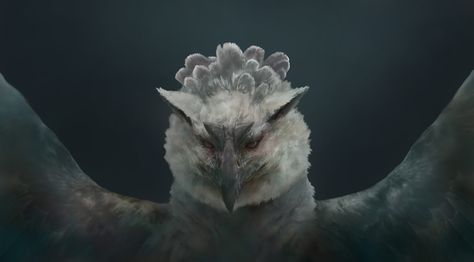 ArtStation - Harpy Griffin, Casey Cheng Griffon Aesthetic, Harpy Aesthetic, Griffin Oc, Warden Cousland, Griffin Aesthetic, Owl Woman, Arcane Trickster, Fantasy High, The Sorcerer's Apprentice