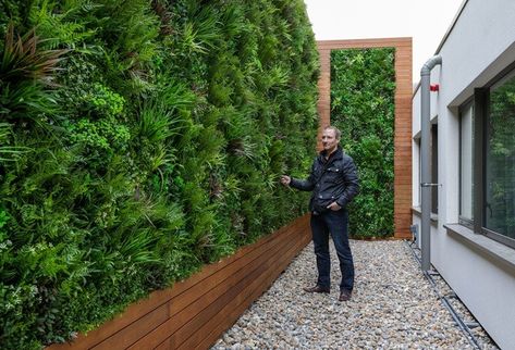 Wooden Privacy Fence, Green Wall Garden, Outdoor Wall Panels, Artificial Vertical Garden, Green Wall Design, Garden Screen, Artificial Green Wall, Space Garden, Green Fence