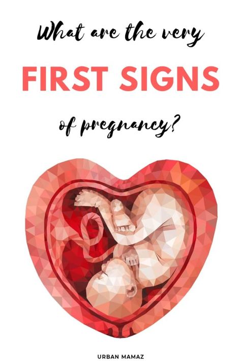 Thinking that maybe you are pregnant? Discover all the early signs of pregnancy. AM I PREGNANT? Find out what are the first signs of pregnancy and how can you check it! CLICK HERE》 Homemade Baby Food Combinations, Early Signs Of Pregnancy, Am I Pregnant, Pregnant Girl, Early Pregnancy Signs, My Mini Me, Kids Fever, Raspberry Leaf Tea, How To Get Pregnant