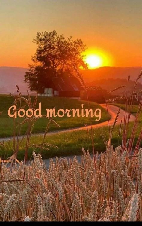 Good Morning Sunrise Images, Good Morning Nature Images, Sunrise Images, Good Morning Clips, Lovely Good Morning Images, Good Morning Saturday, Good Morning Coffee Images, Cute Good Morning Images, Sunrise Landscape