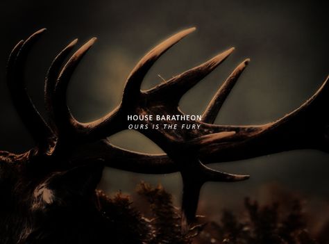 Baratheon Sigil, Baratheon Aesthetic, Millie Brady, Joffrey Baratheon, House Baratheon, Eddard Stark, Petyr Baelish, King Robert, Robb Stark