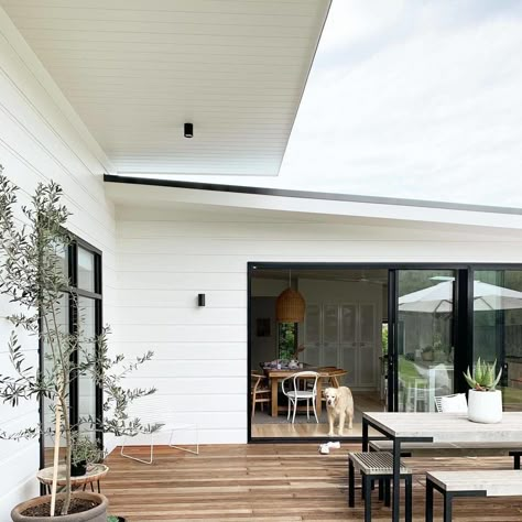 Weatherboard Exterior, Weatherboard House, Three Birds Renovations, Bungalow Renovation, Three Birds, Outdoor Entertaining Area, Diy Renovation, Pool House, House Inspo