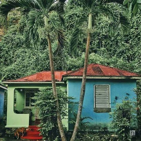 Jamaica countryside living...so beautiful...a cozy Jamaican home from my research for "Boogie". Love the color! Jamaica Country, Case Creole, Fern Gully, Jamaican Culture, Caribbean Culture, Island Vibes, Island Home, Island Girl, West Indies