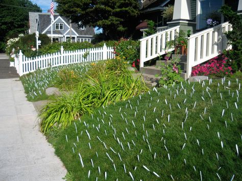 House Pranks Outdoor, Yard Pranks, Room With Balloons, House Pranks, Prank Wars, Easy Pranks, Plastic Forks, Sour Patch Kids, Sour Patch