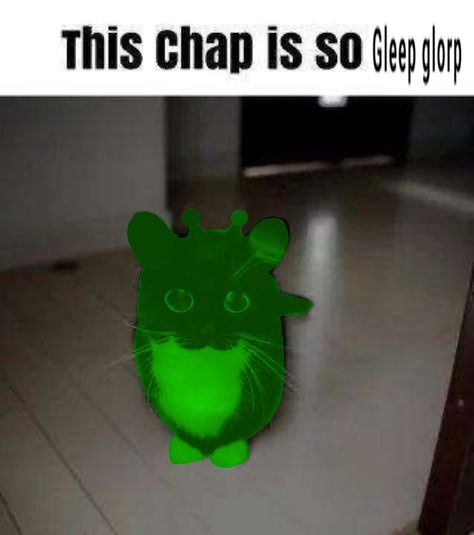 Gnarp gnarp Gnarp Gnarp Meme, Gnarp Gnarp Cats, Gleep Glorp, Gnarp Gnarp, Animal Love Quotes, Animal Print Socks, Alien Cat, Animal Print Decor, Animal Crossing Characters