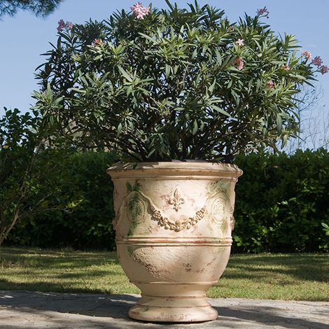 Front Garden Patio, Citrus In Pots, Ancient Greek Garden, Plants In Planters, Garden Provence, Anduze Pot, Brick Patio Ideas, Baroque Garden, Terra Cotta Pots Garden