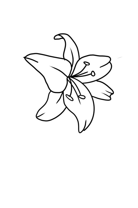 Simple Tattoo Outlines For Beginners, Lily Flower Outline, Tattoo Stencil Outline Simple, Drawings For Room Decor, Drawings For Room, Embroidery Hoop Designs, Pencil Drawings Ideas, Boss Tattoo, Cool Sketch Ideas