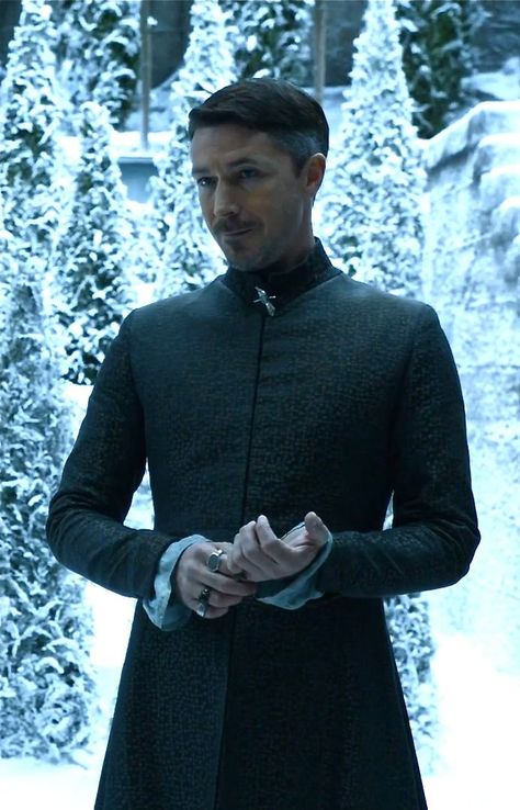 Petyr Baelish Peter Baelish, Lord Baelish, Petyr Baelish, Game Of Thrones Costumes, Game Of Thrones Tv, Aidan Gillen, Got Characters, George Rr Martin, I Love Games