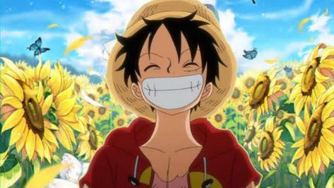 One Piece Cute, One Piece Characters, One Piece Luffy, Thumbs Up, Sunflower, Character Design, One Piece, Flowers, Anime