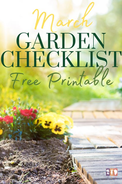 Garden Prep For Spring, March Garden Checklist, Gardening Schedule Calendar, January Gardening Checklist Zone 7, January Garden, Chores Printable, Garden List, Printable Garden Planner, Backyard Hacks