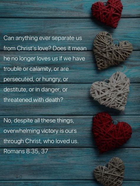 Romans 8 35, Romans 8 37, Christian Valentines, Spiritual Food, Daily Verses, Romans 8, Gods Love, Our Love, Bible Quotes