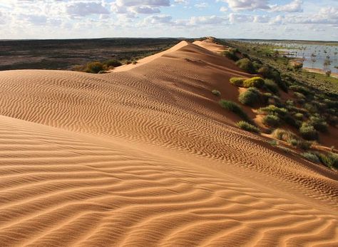 Red Sand, Australian Travel, Outback Australia, Australian Outback, Big Country, The Simpson, Water Ripples, Environment Art, Travel Images