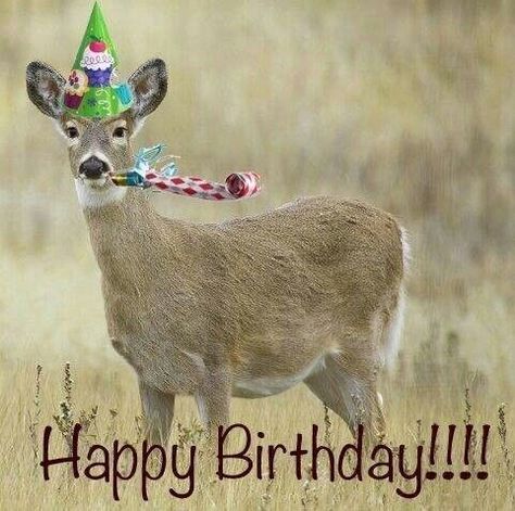 Happy Birthday Hunting, Funny Happy Birthday Messages, Happy Birthday Animals, Birthday Animals, Happy Birthday Wishes Pics, Birthday Wishes Pics, Happy Birthday Man, Funny Happy Birthday Wishes, Birthday Memes