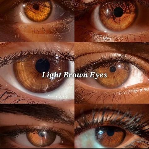 Brown Eye Color Chart Shades, Hazel Contacts On Brown Eyes, Types Of Brown Eyes, Light Brown Eyes Aesthetic, Brown Eyes Men, Honey Brown Eyes, Caramel Eyes, Golden Brown Eyes, Shades Of Brown Eyes