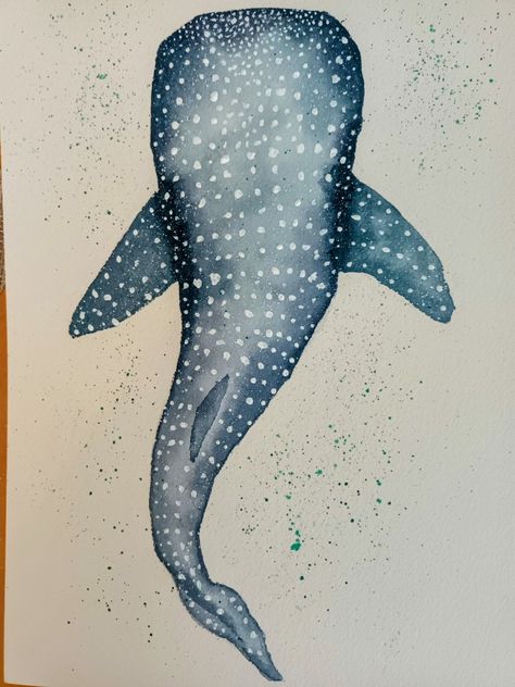 Watercolor Marine Animals, Whale Shark Watercolor Paintings, Watercolor Paintings Sea Animals, Painted Sea Creatures, Bikinis Box Painting Ideas Shark, Marine Life Painting Easy, Watercolor Art Ocean Animals, Marine Animal Painting, Watercolor Art Sea Animals