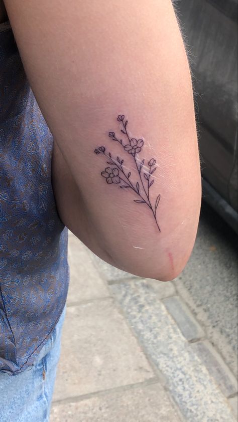 Forget Me Not Line Drawing, Archie Tattoo, Larkspur Tattoo Simple, Forget Me Nots Tattoo, Baby Breath Tattoo, Forget Me Not Flower Tattoo, Bluebonnet Tattoo, Violet Flower Tattoos, Larkspur Tattoo