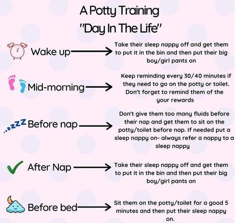 Start Night, Potty Training Guide, Toddler Potty, Potty Chart, Potty Training Boys, Starting Potty Training, Toddler Potty Training, Potty Training Chart, Potty Time