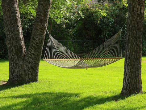 Transform your backyard into the peaceful meditation site you always dreamed of. Two Trees, Photo Texture, Rest And Relaxation, Abstract Photos, Backyard Oasis, Green Grass, Landscape Architecture, Hammock, Oasis