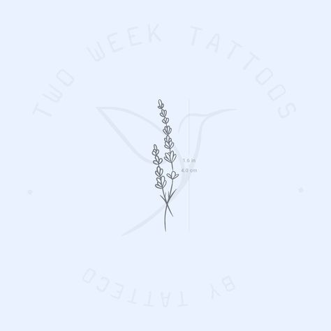 Long-lasting lavender temporary tattoo. Set of two. Size: 1.6 in / 4 cm (height) THIS TEMPORARY TATTOO: * Develops in 24h * Can last up to two weeks or more, although it depends where you place it, your skin chemistry, and how much you exfoliate * Once you feel it has faded enough, you can exfoliate the skin to remove it * Safe & non-toxic, 100% plant-based juice ink formula * Is waterproof * Is environmentally friendly (tattoos and packaging made out of paper, no plastic film) HOW TO APPLY: 1) Small Tattoos Lavender, Dainty Lavender Tattoo, Lavender Bouquet Tattoo, Fine Line Lavender Tattoo, Lavender Tattoo Design, Lavender Tattoos, Stardust Tattoo, Lavender Stamp, Favorite Tattoos