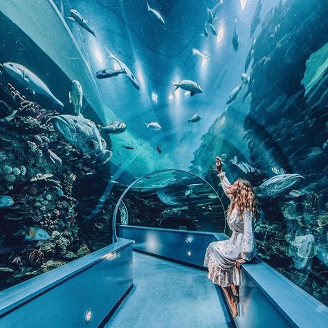 🦈🐳🐠🐟🐋Sharjah Aquarium is awesome! 😍. Aquarium Tunnel, Aquarium Photos, Aquarium Pictures, Dubai Aquarium, Dubai Vacation, Singapore Travel, Vegas Trip, Voyage Europe, Dubai Travel