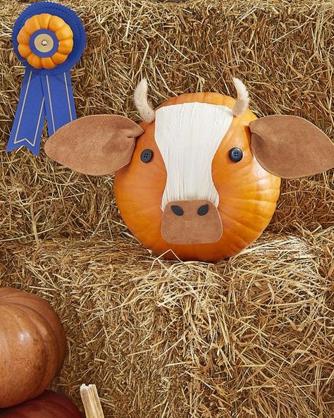 100+ Creative Pumpkin Decorating Ideas - Easy Halloween Pumpkin Decorations and Crafts 2020 Cow Pumpkin, Creative Pumpkin Decorating, Pumpkin Decorating Contest, Pumpkin Contest, Halloween Pumpkin Designs, Creative Pumpkins, Pumpkin Carving Templates, Animal Print Wallpaper, Pumpkin Halloween Decorations